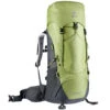 Deuter Aircontact Lite SL 35+10 Hikingrucksack Pistachio/Graphite Damen -Geschäft für Outdoor-Campingausrüstung deuter aircontact lite 35 10 sl 3340221 2435 gross