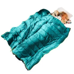 Deuter Starlight SQ Schlafsack Petrol/Navy Kinder -Geschäft für Outdoor-Campingausrüstung deuter starlight sq 3720321 3385 02 gross